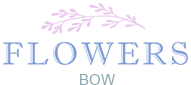 flowerdeliverybow.co.uk